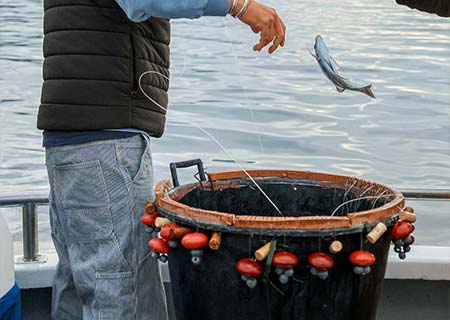 Pêcheur tenant un poisson frais pêché à la ligne à Carqueiranne, arrivage quotidien au restaurant L'Aventure
