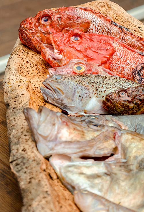 Chapon, rascasse et poissons de roche frais pêchés à la ligne par les pêcheurs de Carqueiranne — ingrédients de la bouillabaisse du restaurant L'Aventure