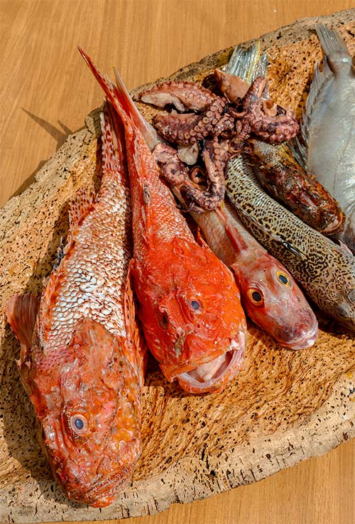 Chapon, rascasse et poissons de roche frais des pêcheurs de Carqueiranne — ingrédients de la bouillabaisse du restaurant L'Aventure