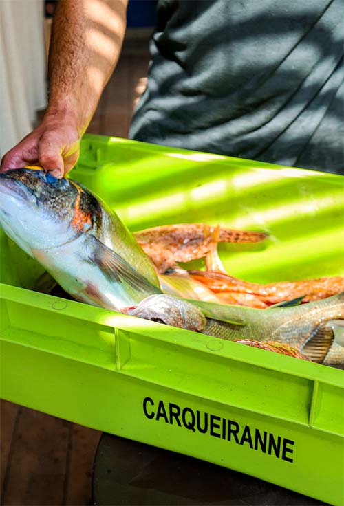 Arrivage de poissons frais déchargés au port de Carqueiranne — livraison directe au restaurant L'Aventure chaque matin