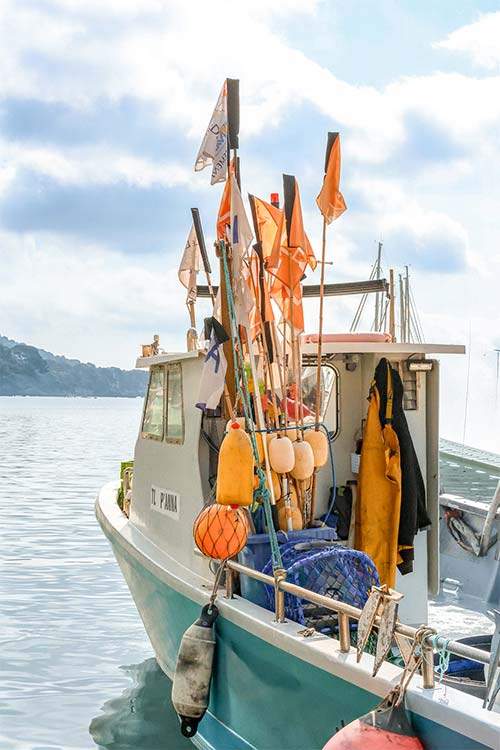 Bateau de pêche artisanale dans le port des Salettes à Carqueiranne — les pêcheurs locaux qui approvisionnent chaque matin le restaurant L'Aventure
