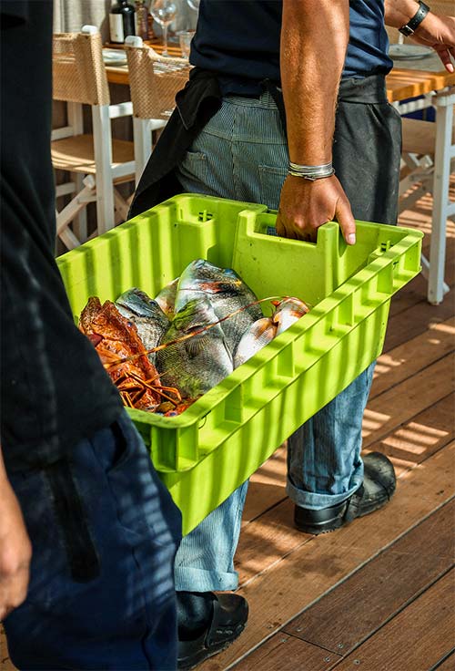 Livraison de poissons frais dans une caisse du port de Carqueiranne — arrivage quotidien des pêcheurs locaux au restaurant L'Aventure